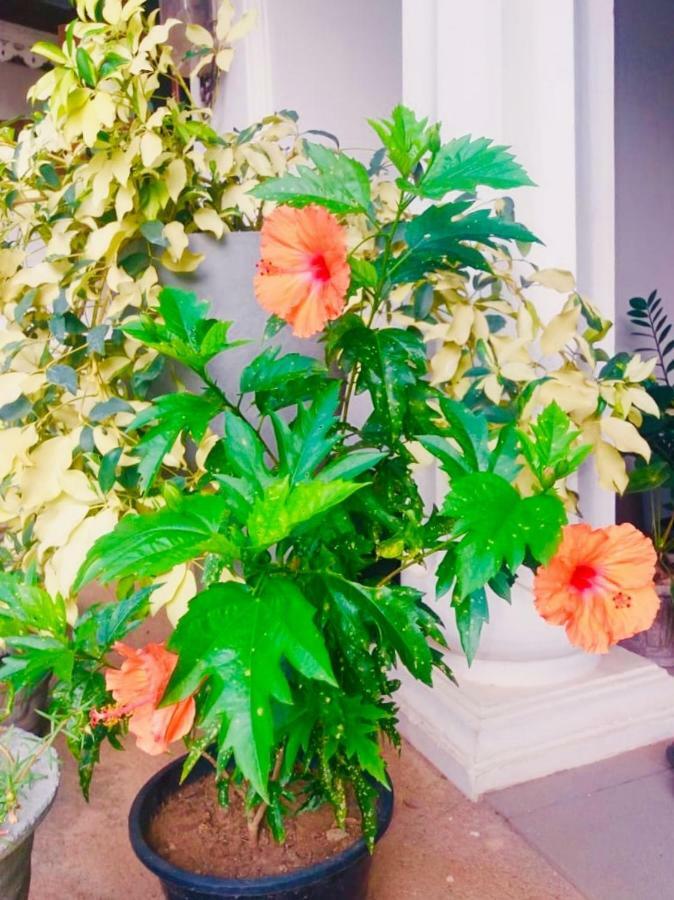 Ruslanka Homestay Ettukala 외부 사진